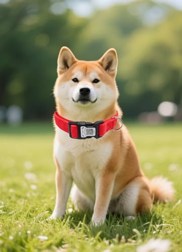 THAIN Smart QR Code Dog Collar-Nylon & Velvet Pet Collar with Unique ID Registration, Adjustable Plastic Buckle for Medium Dogs–Black, Red, Pink, Yellow (Red, M) - color: Red, size: M
