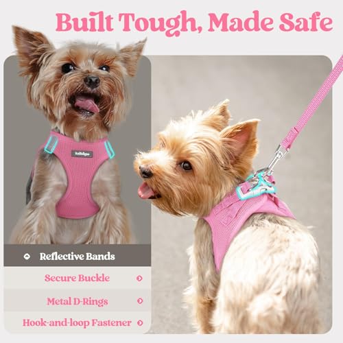 rabbitgoo Dog Harness Small Sized and Leash Set, Step in Soft Light Puppy Vest, Breathable Mesh Pet Harness, Reflective for Safe Easy Walking, Light Pink XXS - color: Light Pink, size: Xxs (chest: 12.4 - 14.2")