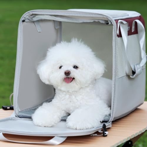Collapsible Soft-Sided Pet Carrier Crate, Breathable Mesh Dog Kennel with Car Seatbelt Hook, Dual Carry Handles