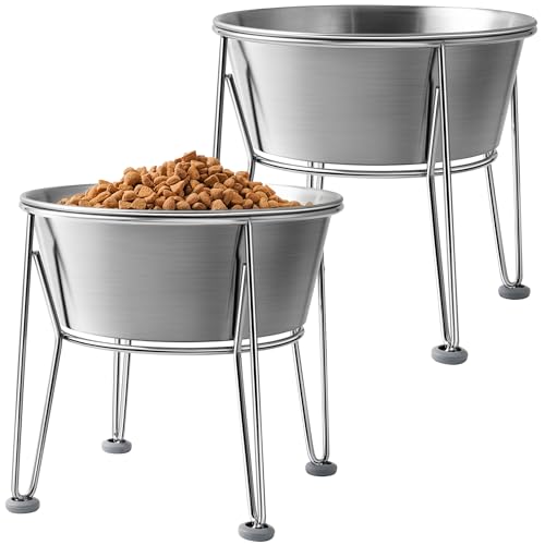 Elevated Dog Bowls for Medium&Small Dogs - Stainless Steel 48oz/6 Cups Raised Feeder with Non-Slip Base, Dual Food & Water Bowls 2-Pack - color: Raised Bowl, size: 6 Cups