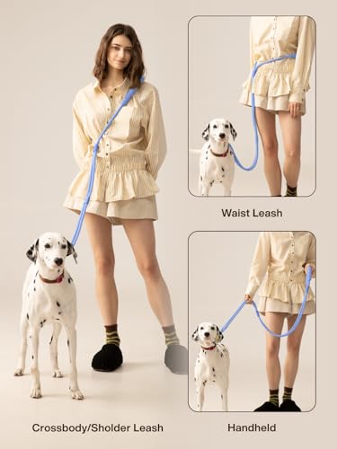 Hands Free Dog Leash, 5-in-1 Adjustable Waist Training Leash for Walking& Hiking – Dual Lead Rope with Padded Handle,MGBR Rotating Metal Clip - color: Classic-Light Blue-5Ft