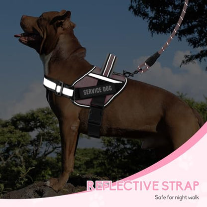 Service Dog Vest Harness and Leash Set, Animire in Training Dog Harness with 10 Dog Patches, Reflective Dog Leash with Soft Padded Handle for Small, Medium, Large, and Extra-Large Dogs (Pink,XS) - color: Pink, size: XS