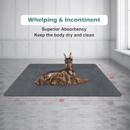 INVENHO Washable Pee Pads for Dogs 60"x48" Reusable Dog Pads Large Upgrade Non-Slip Dog Pee Pads Heavy Absorbency Puppy Pee Pads Quick Dry Whelping Pads/Waterproof Puppy Training Pad - size: 60x48 Inch (Pack of 1)