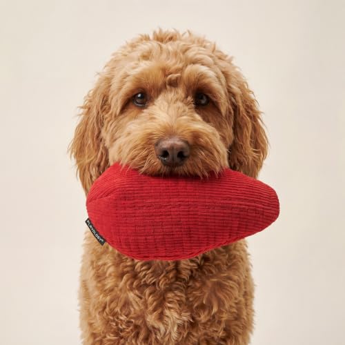 Playology Dog Toys | Plush Toy Crinkle Egg for Large Dogs | Beef Scented Jumbo Plush Chew Toy - size: Jumbo Egg, style: Beef