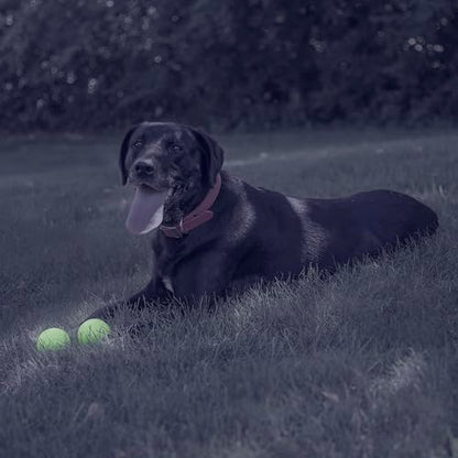 Chew King 2 Piece Glowing Fetch Ball - color: A) 2-Pack (2.5" Balls)