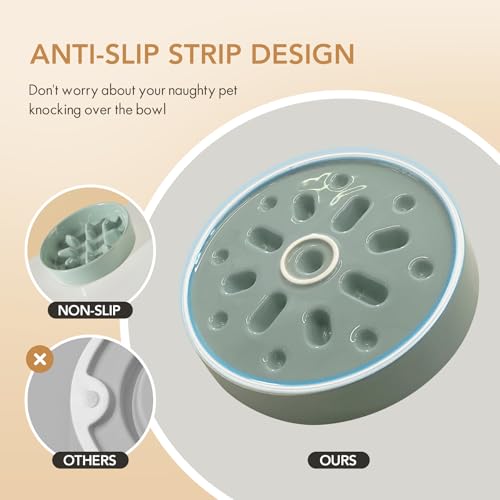 Havniva Ceramic Slow Feeder Dog Bowls, 0.9 Cups Dog Bowl Slow Feeding for Small Breed, 6.1inch Puzzle Dog Food Bowl Slow Feeder Non-Slip Anti-Gulping and Anti-Choking Reduces Bloating - color: 1 x Light Green-C, size: 6.1inch
