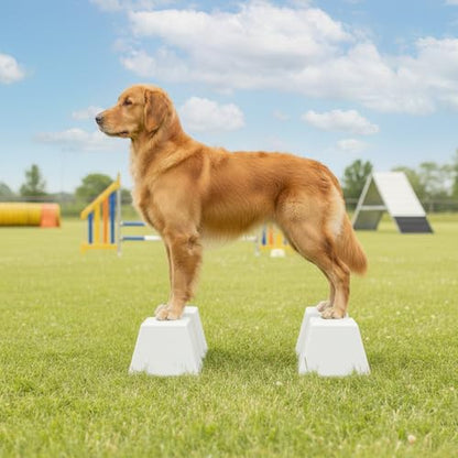 Stacking Blocks for Dog Shows, Professional Dog Stacking Training Platform, Show Ring Feet Position Trainer, Non Slip Stable Base, Breed Stance Support (White) - color: White