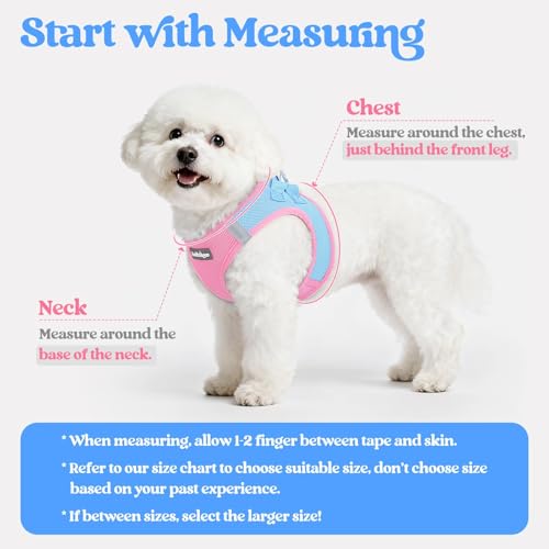 rabbitgoo Dog Harness Small Sized and Leash Set, Step in Soft Light Puppy Vest, Breathable Mesh Pet Harness, Reflective for Safe Easy Walking, Blue & Light Pink XXS - color: Blue & Light Pink, size: Xxs (chest: 12.4 - 14.2")