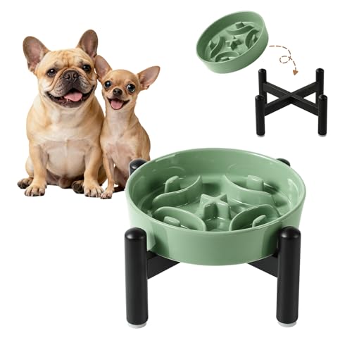 Elevated Slow Feeder Dog Bowl, 0.8 Cups Ceramic Raised Slow Feeder with Stainless Stand, 6.3 Inch Wide Lifted Dog Bowl for Small Breeds to Control Eating Speed, Green - color: Green, size: Small with Stand