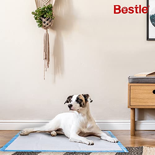 BESTLE Extra Large Pet Training and Puppy Pads Pee Pads for Dogs 28"x34" -40 Count Super Absorbent & Leak-Proof - size: 40-Count