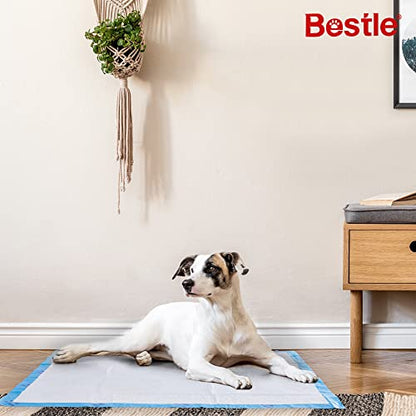 BESTLE Extra Large Pet Training and Puppy Pads Pee Pads for Dogs 28"x34" -40 Count Super Absorbent & Leak-Proof - size: 40-Count