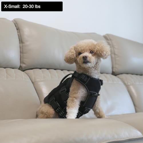 ICEFANG GN3 Tactical Dog Harness with 6X Buckle,Dog Molle Vest with Handle,3/4 Body, Hook and Loop Panel for ID Patch,No Pulling Front Clip (X-Small (Pack of 1), Black) - color: Black, size: XS (Pack of 1)
