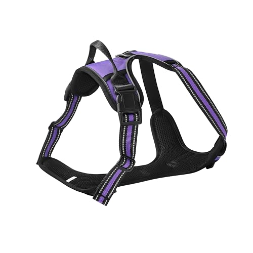 Purple No-Pull Dog Harness with 2 Leash Clips，Soft Padded Vest for Medium Dog, Adjustable Reflective Dog Vest Easy to Put on and Take Off, (Neck: 14"~20", Chest: 21"~27", Purple M) - color: Purple, size: Medium