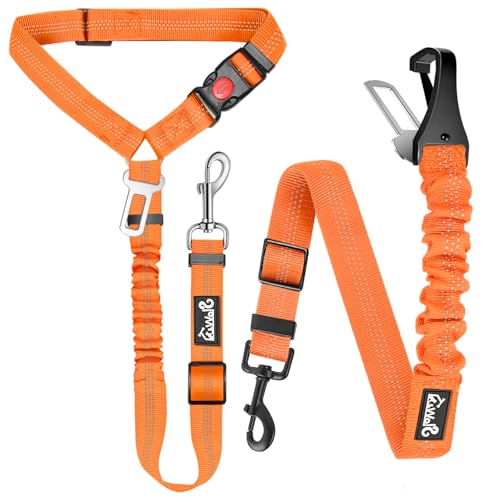 Lukovee Dog Seatbelt Leash for Cars, 2 Pack Pet Safety Car Seat Belt with Adjustable Buckle & Reflective Bungee, Connect Dog Harness in Vehicle Car Dogs Restraint Travel Daily Use (Orange) - color: Orange