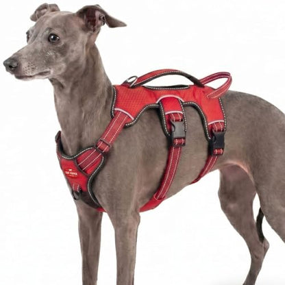 Tuff Pupper Escape Proof No Escape Dog Harness | 5 Point Adjustable Fit Harness for Dogs | Padded Dog Harnesses | Handle Dog Lift Harnesses - color: March Red, size: X-Small: 13-17 Inch Chest