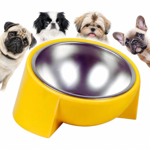 Tilted Dog Bowl for Flat-Faced & Senior Dogs, 15° Slanted Stainless Steel Dog Food Bowl, Elevated Pet Feeder for Small & Medium Dogs, Comfortable Eating Design (Yellow, M (420 ML / 1.5 Cups)) - color: Yellow