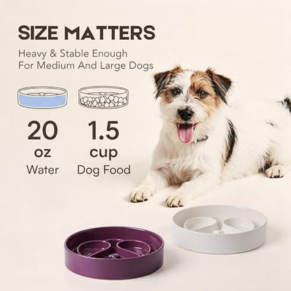 Slow Feeder Dog Bowl, Ceramic Dog Bowls 1.5 Cup Slow Feeding Bowl for Small and Medium Breed, Puzzle Dog Food Bowl for Fast Eater (Purple) - color: Purple