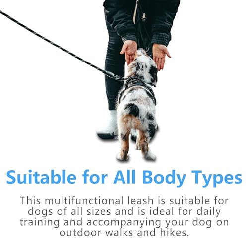 Dog Leash 10 ft, with Comfortable Padded Non-Slip Handle, Reflective Nylon Rope, Heavy Duty Rope Leash for Dog Training, Pet Leash for Large Dogs Medium Dogs Small Dogs Outdoor Walks and Hiking
