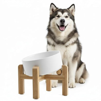 hjn Elevated Ceramic Dog Bowl 15°Slanted Raised Dog Bowl with Bamboo Stand for Small Medium Dogs and Cats, Pet Feeder -7.6-Cup (1800ml)-White - color: White, size: 7.6Cup