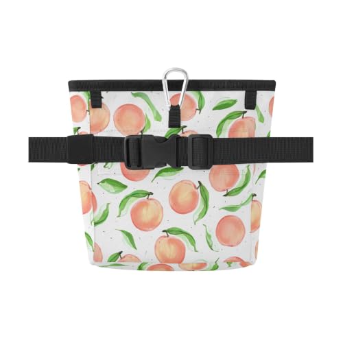 Peach Water-Resistant Dog Treat Pouch, 3 Ways to Wear Treat Bag with Magnetic Closure & Reflective Strip, Hands-Free for Pet Training, Walking