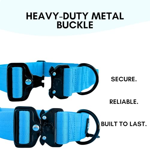 ShawnCo Basecamp Dog Collar- Premium, Adjustable, Heavy-Duty Nylon Tactical Dog Collar with Metal Buckle for Medium and Large Dogs (Midnight, M) - color: Midnight, size: M- No Handle