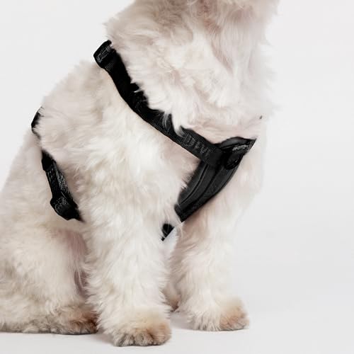 Fei & Eve Moxie Dog Harness for Small & Medium Dogs, Black, M | Lightweight Design, 3-Point No-Pull Control, Quick Release Metal Buckle - color: Black, size: M