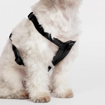 Fei & Eve Moxie Dog Harness for Small & Medium Dogs, Black, M | Lightweight Design, 3-Point No-Pull Control, Quick Release Metal Buckle - color: Black, size: M