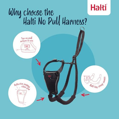 Halti No Pull Harness & Halti Training Leash Size Large, Black Combination Pack - Stop Your Dog Pulling on The Leash. Adjustable, Lightweight and Easy to Use. Suitable for Large Dogs - size: Large