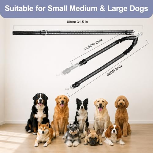 Double Dog Leash for Two Dogs, Complete Set with 31.5" Main Leash + Adjustable Splitter, Padded Handle, D-Ring, 360° Swivel, Shock-Absorbing Bungee, Reflective for Small Medium Large Dogs (Black) - color: Black