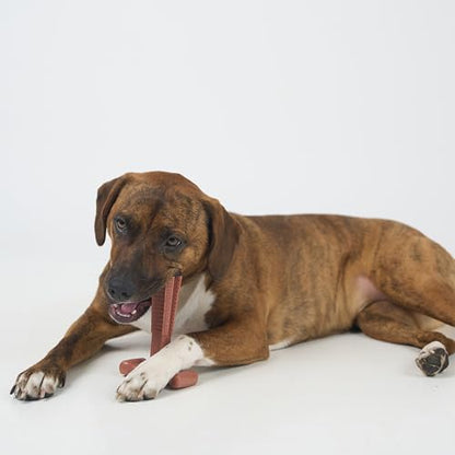 SPOT Bam-Bones Plus Coffee Wood T-Bone Dog Chew Toy, Beef Flavor, Nylon and Coffee Wood Fiber Blend, Durable Chew for Heavy Chewers and Dogs Under 60 lbs, Non-Splintering Dental Chew, 6 Inch - size: 6 Inch (Pack of 1)