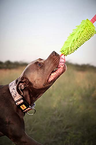 Dingo Dog Tug Toy and TPR Rubber Ball with Bungee Handle, Microfiber Green - color: Green