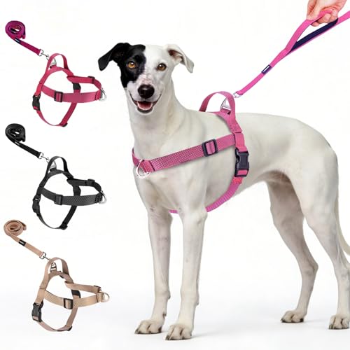 Annchwool No Pull Dog Harness with Front Clip and Easy Control Handle-Belly & Chest Adjustable Dog Harness and Leash Set for Small Medium Dogs-Heavy Duty Vest Harnesses Easy for Walking(Pink,S) - color: Pink, size: S