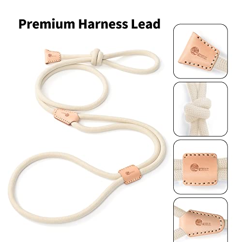Mile High Life Harness Lead No Pull, All in one Dog Lead 2-in-1, Rope Leash and Harness Two in One, Slip Leash for Puppy Small Dogs Training, 4FT White - color: 4 feet-White