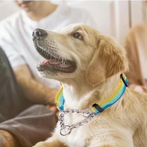 Martingale Dog Collars with Stainless Steel Chain, Reflective No Pull Walking Training Collar with Quick Release Buckle, Adjustable Slip Chain Nylon Dog Collars for Small Medium Large Dogs - color: Yellow and blue, size: Large