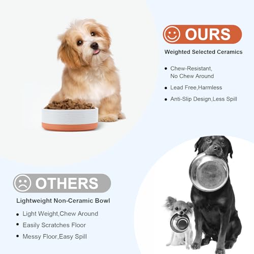 SPUNKYJUNKY Ceramic Dog and Cat Bowls 2 Pack, 5.1'' Dog and Cat Food Water Double Feeding Bowls Non-Slip for Cats and Puppy Small Sized Breed Microwave Dishwasher Safe - 13.5 OZ, 2pcs, Pattern White - color: Pattern White - Only Bowls*2, size: 5.1 in - 1.