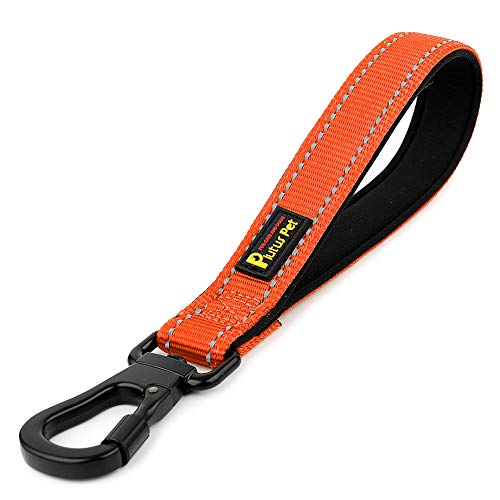 PLUTUS PET 10” Short Dog Leash, Reflective Nylon Padded Handle, Strong Traffic Leash with Carabiner Clip, Perfect for Large or Medium Dogs（10”，Orange - color: Orange, size: 10 Inch (Pack of 1)