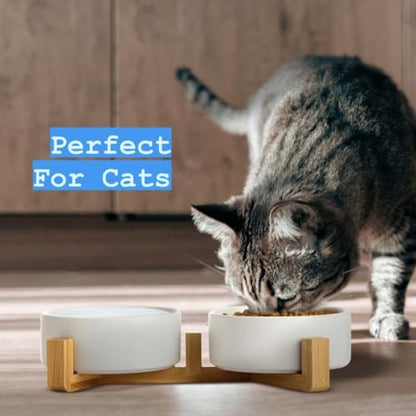 Ceramic Cat and Small Dog Bowl Set – Modern Indoor Small Size Pet Food and Water Bowls with Wood Stand – Non Slip Puppy Sized Feeding Station with Double Dishes (White) - color: White