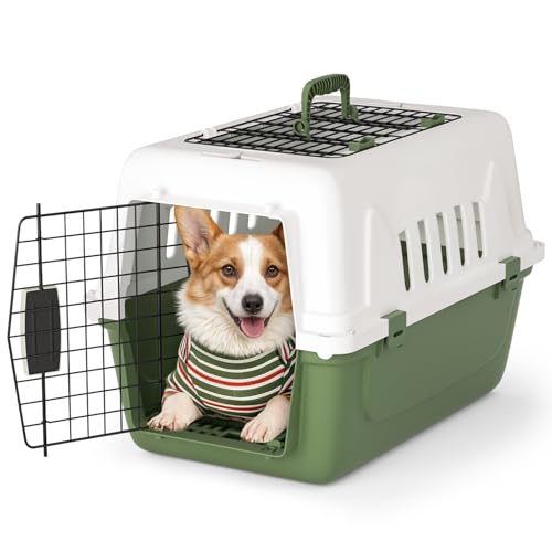 Magshion Pets Plastic Carrier, 22-Inch Hard-Sided 2-Door Top-Loading Kennel for Small Dogs and CatsLonger Traveling, Durable Handle, and 4 Sides Ventilation for Pet Up 22 lbs (White+Green) - color: White+Green, size: 22.0"L x 14.5"W x 15.0"H