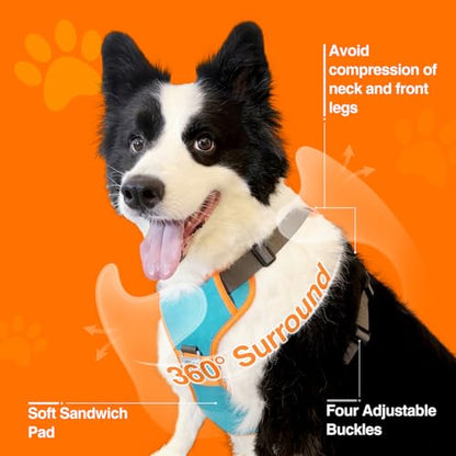 Dog Harness with Retractable Leash 51.2”,2-in-1 Large & Medium Dog Harness Vest with Built-in Auto-Stop Function Leash, 370 LB of Pull Adjustable Dog Walking Harness-M, Hand Free Dog Leash Harness Set - size: M-(Neck16.3-23.6" Chest24.6-31")
