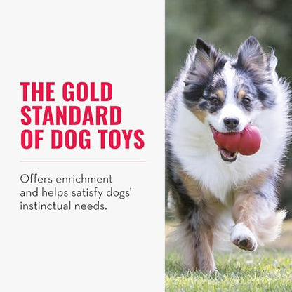 KONG Classic Stuffable Dog Toy - Fetch & Chew Toy for Dogs - Treat-Filling Capabilities & Erratic Bounce for Extended Play Time - Durable Natural Rubber Material - for Small Dogs - size: Small (Pack of 1)
