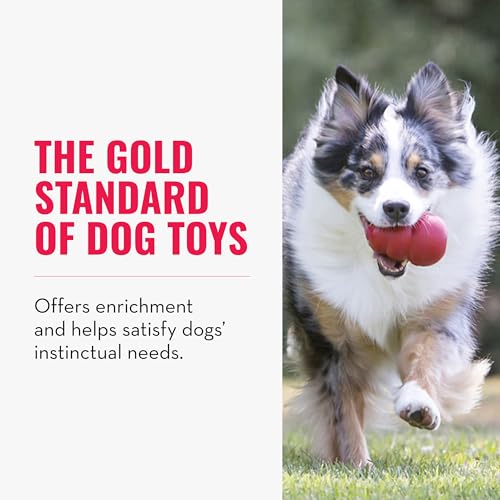 KONG Classic Stuffable Dog Toy - Fetch & Chew Toy for Dogs - Treat-Filling Capabilities & Erratic Bounce for Extended Play Time - Durable Natural Rubber Material - for XX-Large Dogs - size: XX-Large