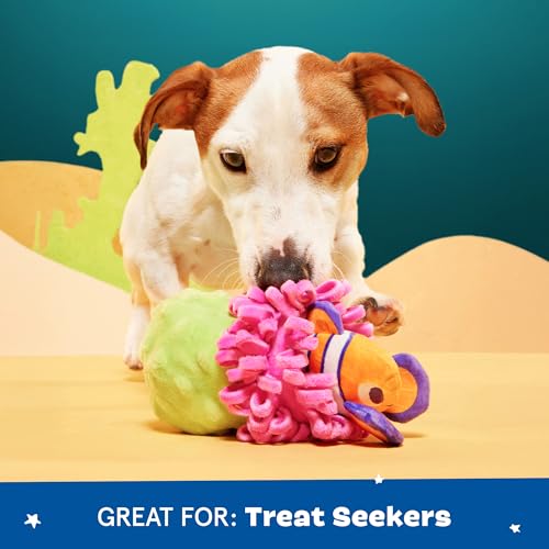Barkbox Clown Fishing Around Plush Toy for Small Dogs – 2-Part Squeaky Toy with Treat-Hiding Fun – Perfect for Interactive Play and Mental Stimulation - color: Clown Fishing Around-Small