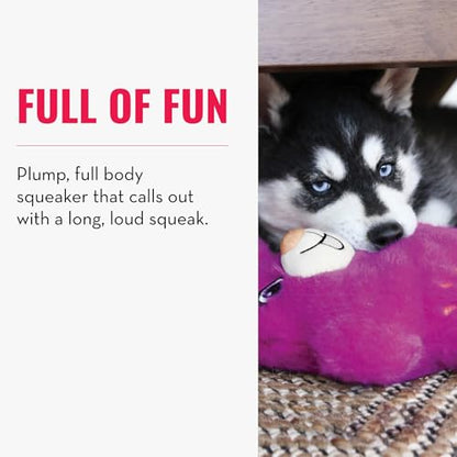KONG Snuzzles Dog Toy, Plush Squeaker, Crinkle Sounds, Soft Durable Indoor Play (Koala, Medium) - color: Koala, size: Medium