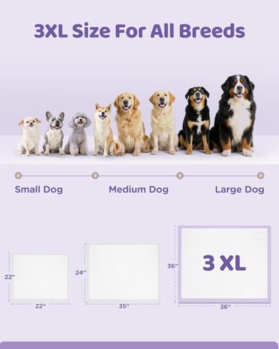 iweepet 36"x36" 4XL Lavender Scented Disposable Dog Pee Pads, 30 Count | Extra Large Puppy Training Pads with 6-Layer Super Absorbent Protection, Leakproof Puppy Pads for Large Dogs & Senior Pets - size: 36"x36" Lavender(30counts)