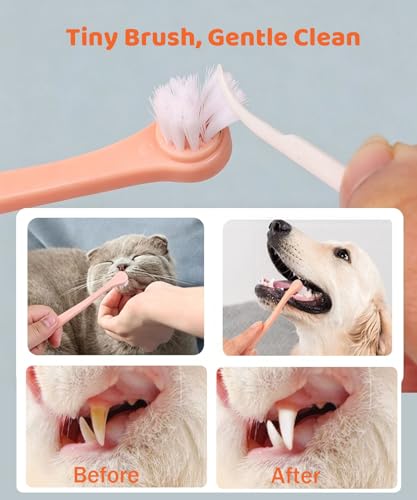 5Pack Ultra Soft Pet Toothbrush for Small Dog & Cat Toothbrush Set with 2 Finger Brushes - Soft Bristles for Gentle Pet Dental Care, Teething & Gingivitis Prevention for Puppies & Kittens - color: Model A-small Head