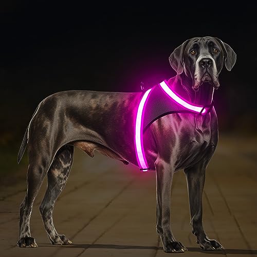 ChalkLit Light Up Dog Harness, No Pull Led Dog Harness Glow-in-The-Dark for Night Walking, USB Rechargeable Lighted Safety Vest for Medium Large Dogs, Adjustable Soft Mesh Fully Illuminated(Pink, L) - color: Pink, size: Large