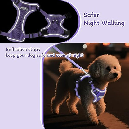 Small Dog Harness and Leash Set, Reflective Soft Breathable Mesh Vest, 3 Buckles, Adjustable Neck and Chest,Step in Dog Harness for Walking, Running, Training, Purple, XS - color: Purple, size: X-Small
