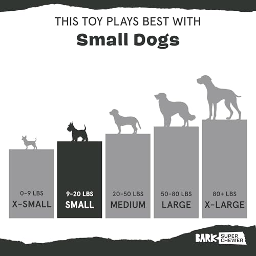 Barkbox Bear Hugger Dog Toy for Aggressive Chewers | 2-in-1 Plush & Rubber Treat-Dispensing Toy for Small Dogs | Puppy Teething Toys & Dog Toys to Keep Them Busy - color: Bear Hugger