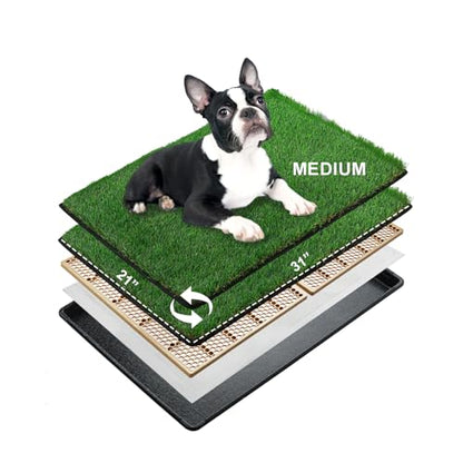 MEEXPAWS Dog Grass Pee Pads for Dogs with Tray | Medium 31×21 in | 2× Dog Artificial Grass Pads Replacement| Rapid Drainage | Indoor Litter Box | Hemmed Edge - size: Medium - 31 x 21 inch