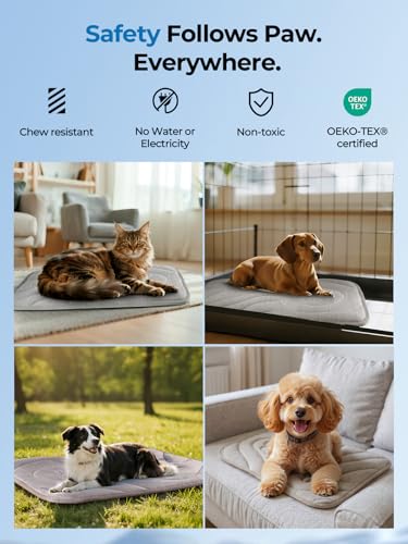 Dog Cooling Mat, Anti-Slip, Thick 3D Orthopedic Summer Pad for Dogs & Cats, Q-MAX > 0.5, Non-Toxic, Machine Washable, Chew-Resistant, Portable for Crate, Bed, Sofa, Car (Cool Grey, Medium) - size: Medium